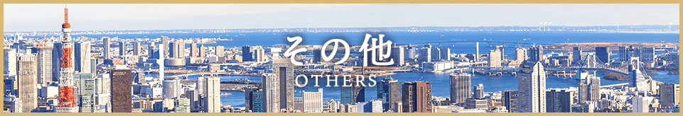 その他