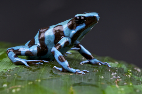 テストピック用の新着情報２